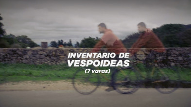 Imagen de Inventario de... (T1): Inventario de vespoideas: A vespoidea de Adrián García: 7 varas - 4