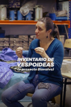 Imagen de Inventario de... (T1): Inventario de vespoideas: A vespoidea de Carolina Martínez: O proxecto Biovalvo - 3