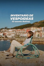 Imagen de Inventario de... (T1): Inventario de vespoideas: A vespoidea de Amalia Puga: O asento 'Bolina' - 3