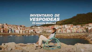 Imagen de Inventario de... (T1): Inventario de vespoideas: A vespoidea de Amalia Puga: O asento 'Bolina' - 4