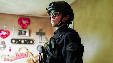 Imagen de S.W.A.T.: Los... (T2): Ep.15 Los caídos - 2