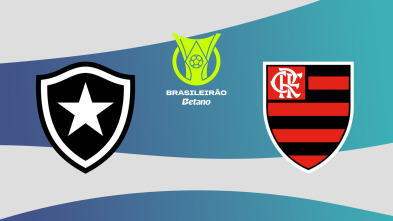 Imagen de Jornada 28: Botafogo - Flamengo - 2