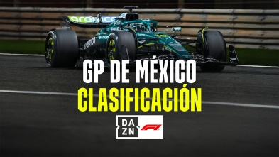 Imagen de Mundial F1 - GP... (2025): Clasificación - 2