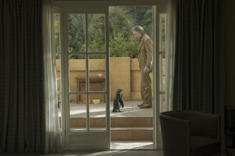 Imagen de Lo que aprendí de mi pingüino - 5