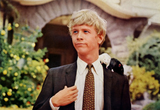 Imagen de La revolución de las ratas (Willard) - 6