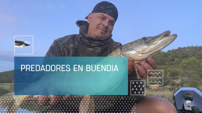 Imagen de Predadores en Buendía - 2