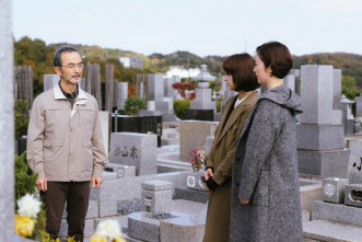 Imagen de Sigue volando - 5