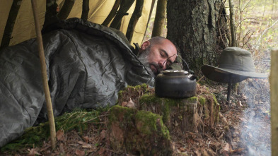 Imagen de Cara a cara con el bosque primigenio - 3