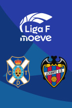 Imagen de Jornada 22: Costa Adeje Tenerife - Levante UD - 1