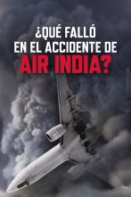 Imagen de ¿Qué falló en el accidente de Air India? - 1