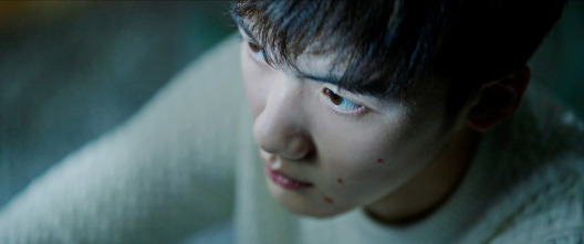 Imagen de Breve historia de una familia - 6