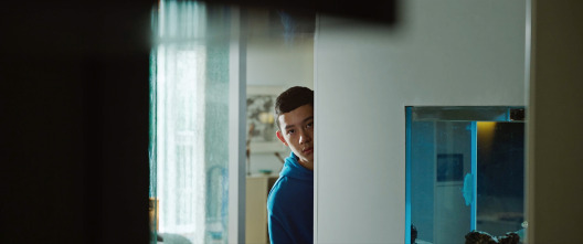 Imagen de Breve historia de una familia - 7