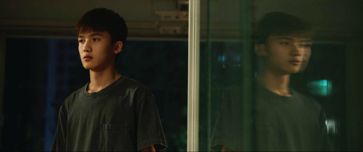 Imagen de Breve historia de una familia - 9