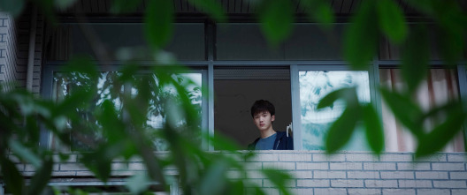 Imagen de Breve historia de una familia - 10