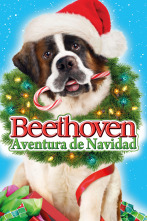 Imagen de La aventura navideña de Beethoven - 1