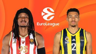 Imagen de Jornada 31: Estrella Roja - Fenerbahce - 2