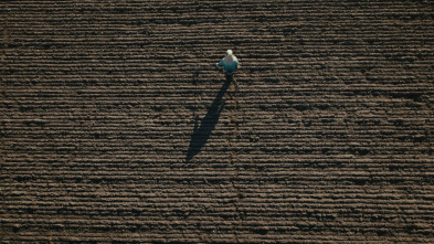 Imagen de Vikingos: la creación...: Ep.1 - 2