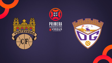 Imagen de Jornada 14: Pontevedra - Guadalajara - 2