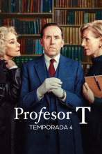 Imagen de Profesor T (T4) - 1