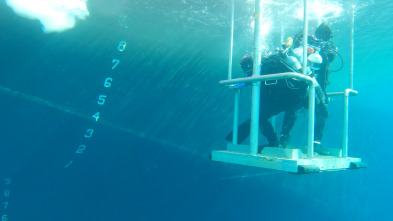 Imagen de Los desafíos del Ártico  - 4