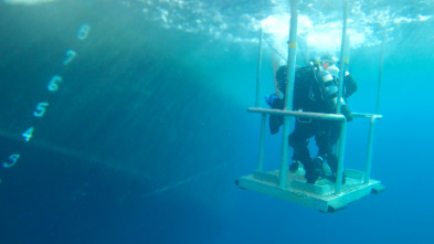 Imagen de Los desafíos del Ártico  - 5