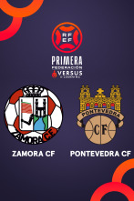 Imagen de Jornada 30: Zamora - Pontevedra - 1