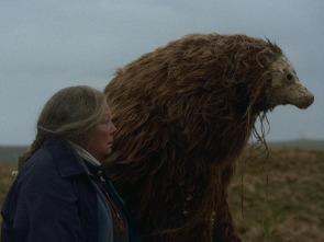 Imagen de Un oso recuerda - 7