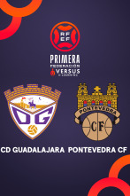 Imagen de Jornada 33: Guadalajara - Pontevedra - 1