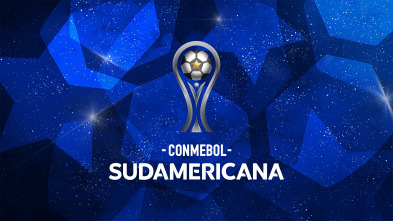 Imagen de Copa Sudamericana - 2