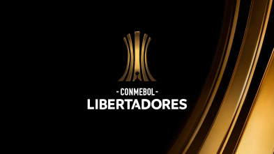 Imagen de Copa Libertadores - 2