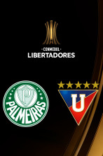 Imagen de Semifinales: Palmeiras - LDU Quito - 1