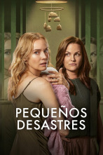 Imagen de Pequeños desastres (T1) - 1