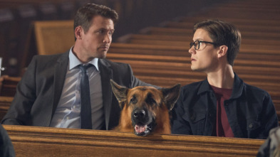 Imagen de Hudson y Rex (T2): Ep.2 Muerto Ambulante - 1