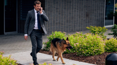 Imagen de Hudson y Rex (T2): Ep.3 Bajo La Influencer - 3