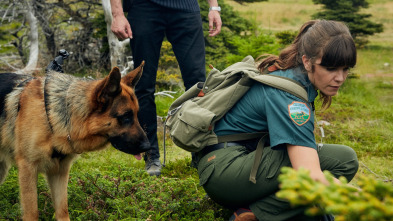 Imagen de Hudson y Rex (T2): Ep.4 Los Bosques Tienen Ojos - 4