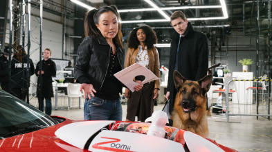 Imagen de Hudson & Rex (T2): Ep.8 Rex Machina - 1