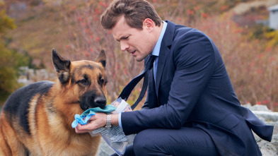 Imagen de Hudson y Rex (T2): Ep.9 Rex y La Ciudad - 3