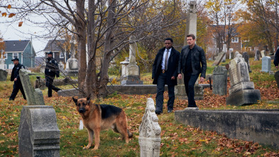 Imagen de Hudson y Rex (T2): Ep.10 Confiamos En El Podcast - 4