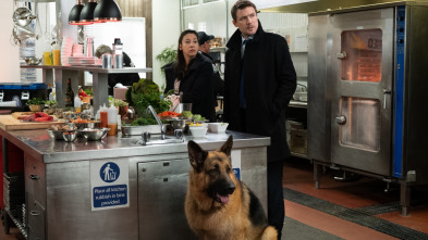 Imagen de Hudson y Rex (T2): Ep.12 Para Chuparse Los Dedos - 1