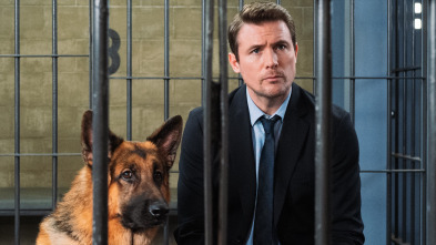 Imagen de Hudson y Rex (T2): Ep.12 Para Chuparse Los Dedos - 3