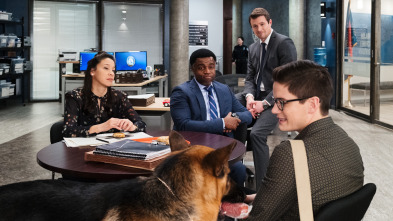 Imagen de Hudson y Rex (T2): Ep.12 Para Chuparse Los Dedos - 5