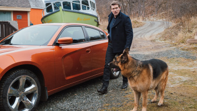 Imagen de Hudson y Rex (T2): Ep.13 Llamarada Canina - 2