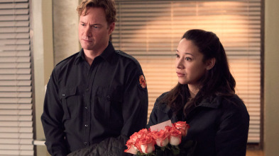 Imagen de Hudson y Rex (T2): Ep.13 Llamarada Canina - 3