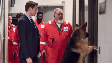 Imagen de Hudson y Rex (T2): Ep.14 Turno De Noche - 2