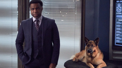 Imagen de Hudson y Rex (T2): Ep.14 Turno De Noche - 3