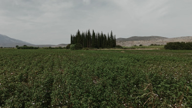 Imagen de Crónica negra de la...: Ep.5 - 1