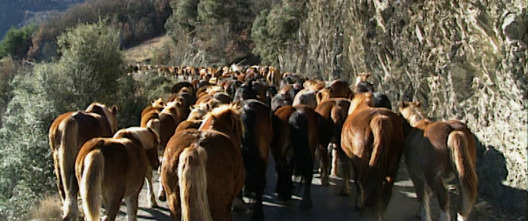 Imagen de Tor: una historia de...: Palanca - 3