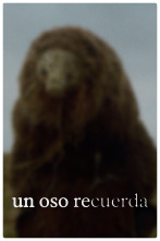 Imagen de Un oso recuerda - 1