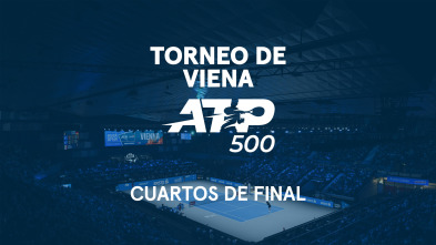 Imagen de Torneo de Viena - 4