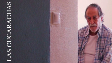 Imagen de Las cucarachas - 2